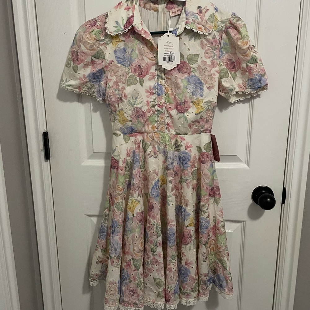 Ivy City Co Penny dress size 00